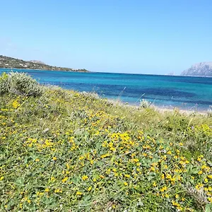 Stanza Al Lungomare , Olbia Italia